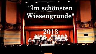 "Im schönsten Wiesengrunde"_ нем.нар. песня_Хор Ансамбля ЧФ_2013_Live_хормейстер Полина Бондаренко