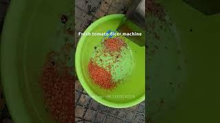 Fresh tomato dicer machine for restaurant use