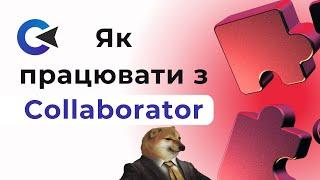 Collaborator | Як працювати з Collaborator | SEO сайту