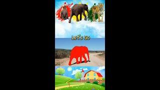 Magic Puzzle: Matching Elephant Pictures #shorts