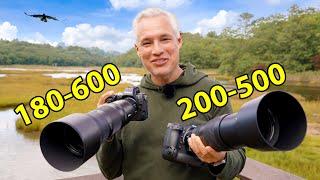 Nikon 180-600 Review: The ULTIMATE Wildlife Zoom!