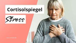 Cortisol zu hoch: 5 Symptome bei zu viel Stress