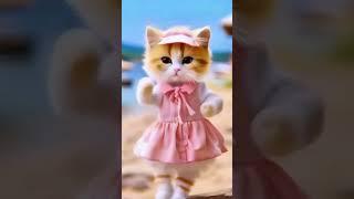 Funny Cat Dancing Videos  | youtube channel 