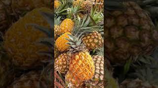 pineapple rich in lycopene