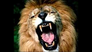 Albert Roussel : Symphony 3 (Full) *
