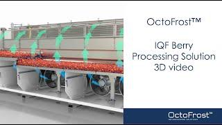 OctoFrost™ IQF Freezing for Berries | IQF Freezer for Strawberries | 3D Visualization