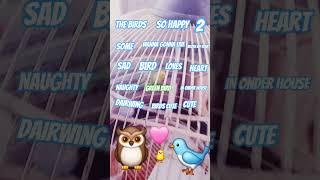 the birds 2 song