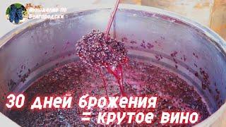 Длительное брожение = крутое вино!