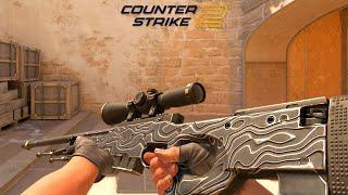 CS2 AWP | Black Nile - Skin showcase all floats [4K60FPS]