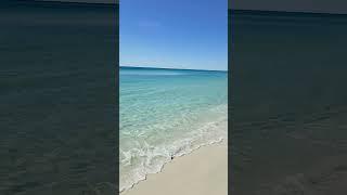 The most beautiful beach in the world is Grayton Beach in Florida.  #florida #Beach #viral #beaches