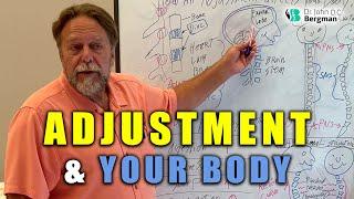 Adjustment & Your Body