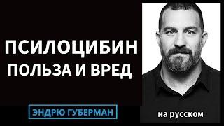 Как псилоцибин может перестроить наш мозг, его терапевтические преимущества и риски | на русском