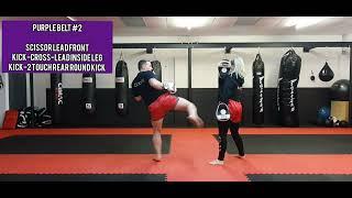 Purple Belt #2