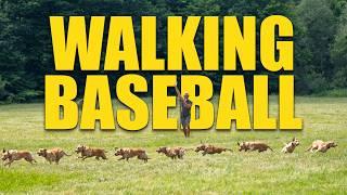 The Walking Baseball Drill for Retriever Training