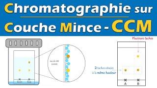 CCM  Chromatographie sur Couche Mince | Physique Chimie | Lycée