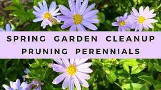 Spring Garden Cleanup: Pruning Perennials