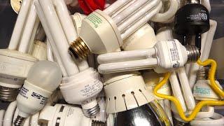 Compact Fluorescent Light Bulbs Box-o-Bulbs (Box 1)