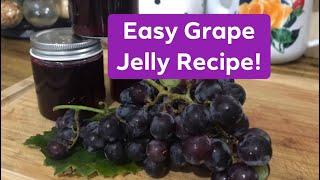 Easy Grape Jelly Recipe! 