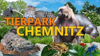 Tierpark Chemnitz - Im Osten was Neues? | Zoo-Eindruck