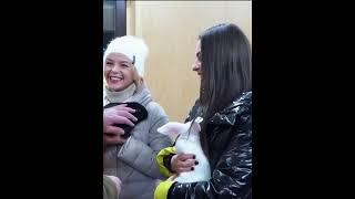 Лукашенко: "Ты коров хоть доила? Руками? Странно... Значит, кого хочешь выдоишь!"
