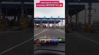 Побрызгал номера WD-40 и проезжаю любой платник бесплатно #reels #авто #shortsyoutube