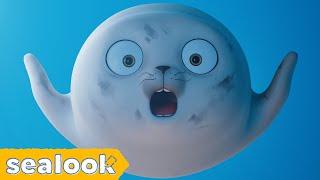 Baby Seal in Wonderland #031 | SEALOOK | EP.107