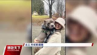 美國收容所減輕狗狗壓力 允志工攜收容犬外出度假｜20240804 全球現場漫遊天下