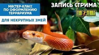 Мастер-класс по оформлению террариума EXO TERRA для некрупных видов змей.