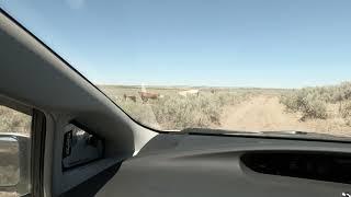 Overland Prius Clip
