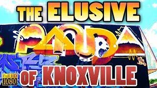 The Elusive Knoxville Panda (UH) (2017) [HD; 60fps]