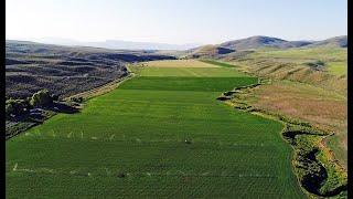 Cattle Ranch Properties for Sale in Idaho