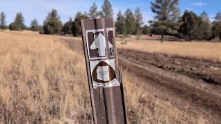 Arizona Trail near Flagstaff in Dec 2024, no snow, nice day in the Coconino National Forest Arizona