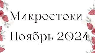 Микростоки - Итоги Ноябрь 2024