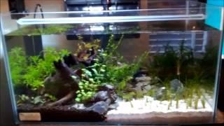All Pond solutions 32 LED Aquarium Light