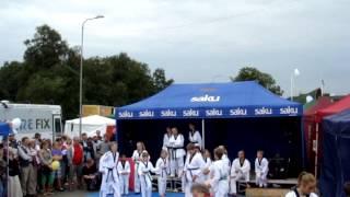 Vanamõisa taekwondo DEMO (17.aug2013) LAPSED