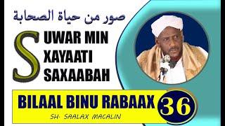 #36 BILAAL BINU RABAAX -- SUWAR MIN XAYAATI SAXAABA SHEEKH SAALAX MACALIN