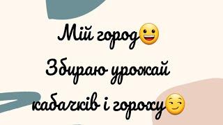 Мій город) Збираю урожай кабачків і гороху) Мега урожай кабачків) Екскурсія городом)