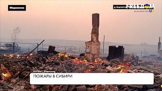 Пожары в Сибири. Подробности