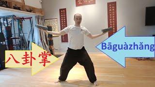 КИТАЙ 2024: видео № 111 – “БАГУАЧЖАН” – Ладонь 8-ми Триграмм  八卦掌 Baguazhang.