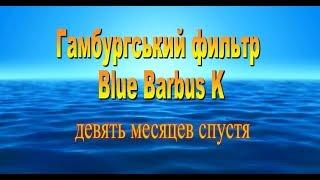 Гамбургский фильтр Blue Barbus K девять месяцев спустя