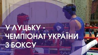 Луцьк приймає Чемпіонат України з боксу