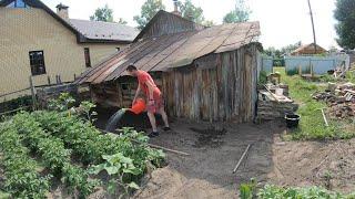 Сажаю газон около двора / Свой дом в деревне