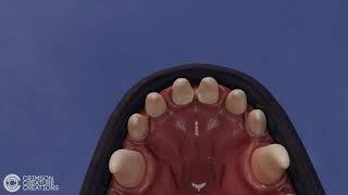 Ride of your life | POV Soft Vore Animation