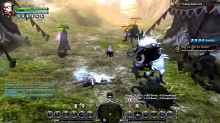 Dragon Nest SEA- Velskud Hero/Mercenary system