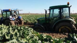 Bafra Koşuköyü Çamura Batan John Deere