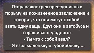 Задача трёх тел! Сборник Самых Свежих Анекдотов!