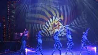 Zebras "Hand Voltige"