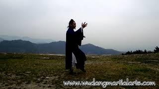 Wudang Tai Chi 108 by Master Chen Shiyu