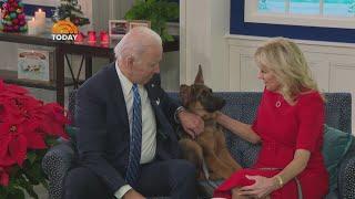 President Biden's dog Commander no longer at White House after biting incidents