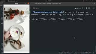 Read and Display a video using OpenCV - Python